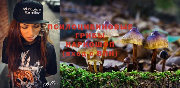 MDMA Весьегонск