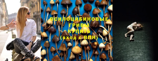 тгк Осинники
