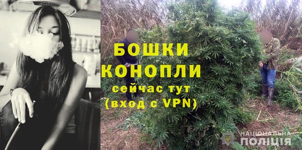 трава Осташков